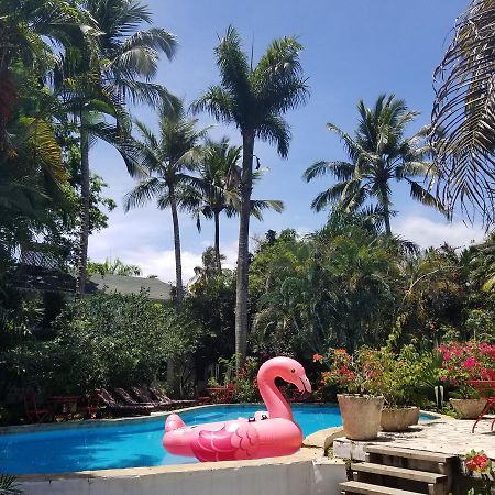 Cabarete Surf Camp Hotel ภายนอก รูปภาพ