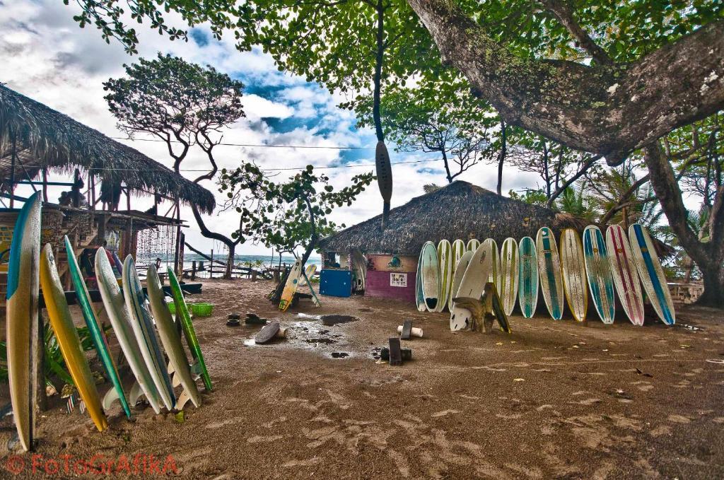 Cabarete Surf Camp Hotel ภายนอก รูปภาพ