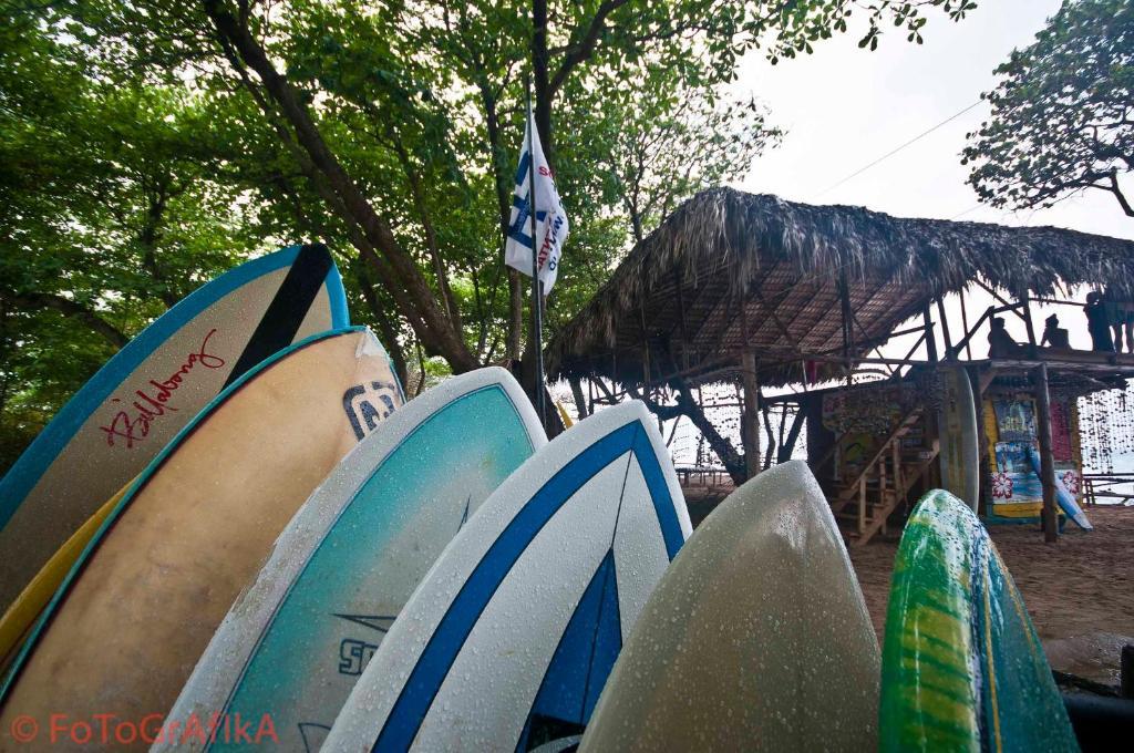 Cabarete Surf Camp Hotel ภายนอก รูปภาพ