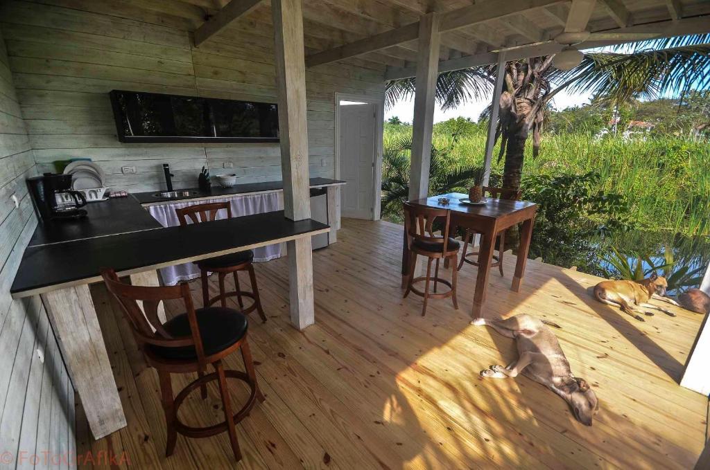 Cabarete Surf Camp Hotel ภายนอก รูปภาพ