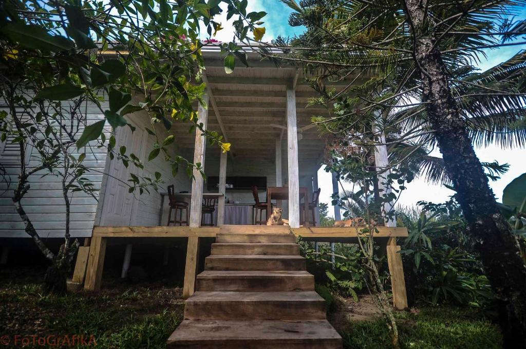 Cabarete Surf Camp Hotel ภายนอก รูปภาพ
