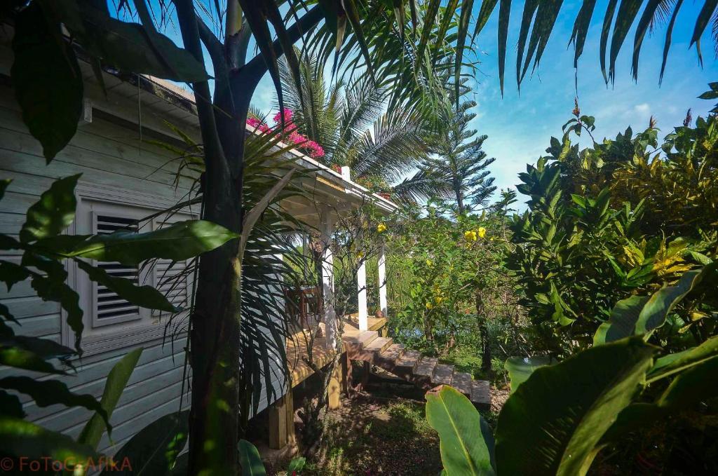 Cabarete Surf Camp Hotel ภายนอก รูปภาพ