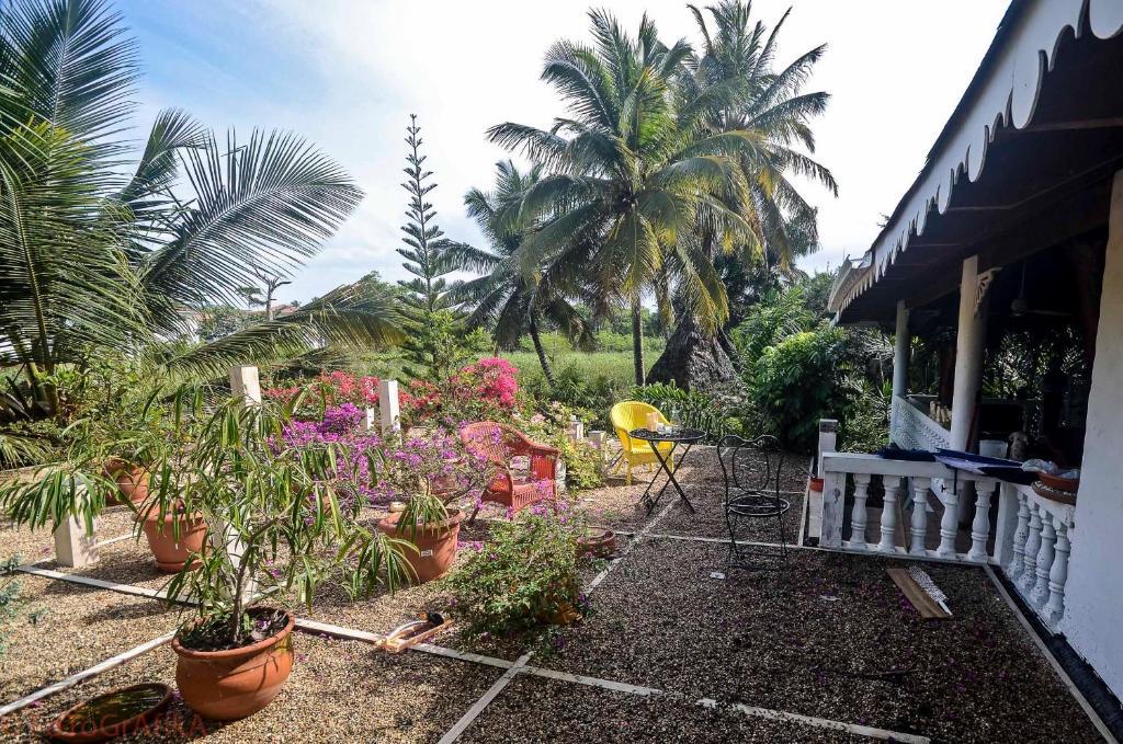 Cabarete Surf Camp Hotel ภายนอก รูปภาพ