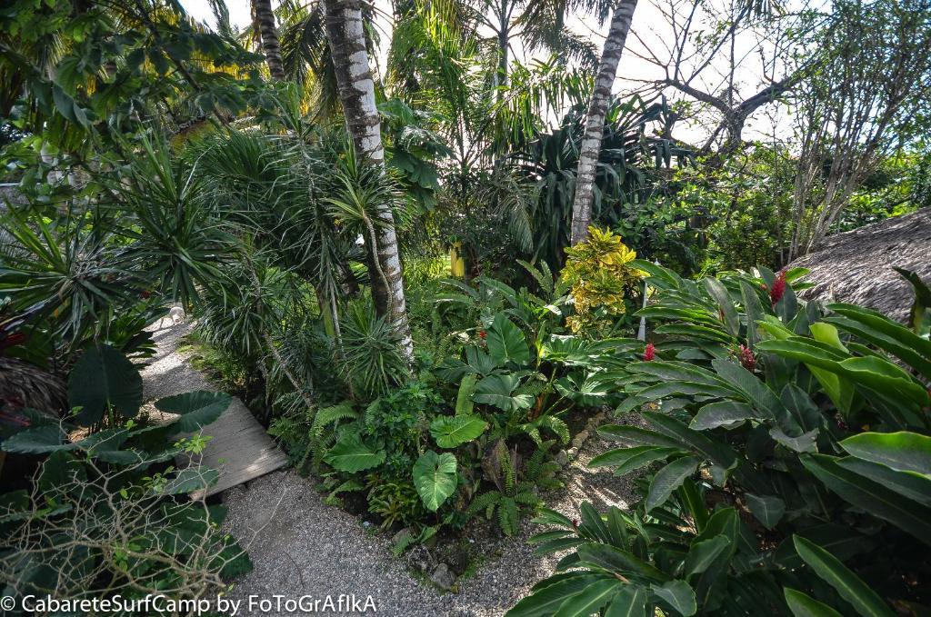 Cabarete Surf Camp Hotel ภายนอก รูปภาพ