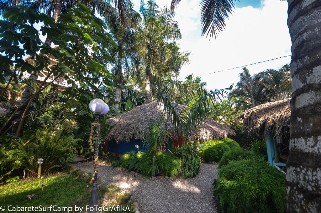 Cabarete Surf Camp Hotel ภายนอก รูปภาพ
