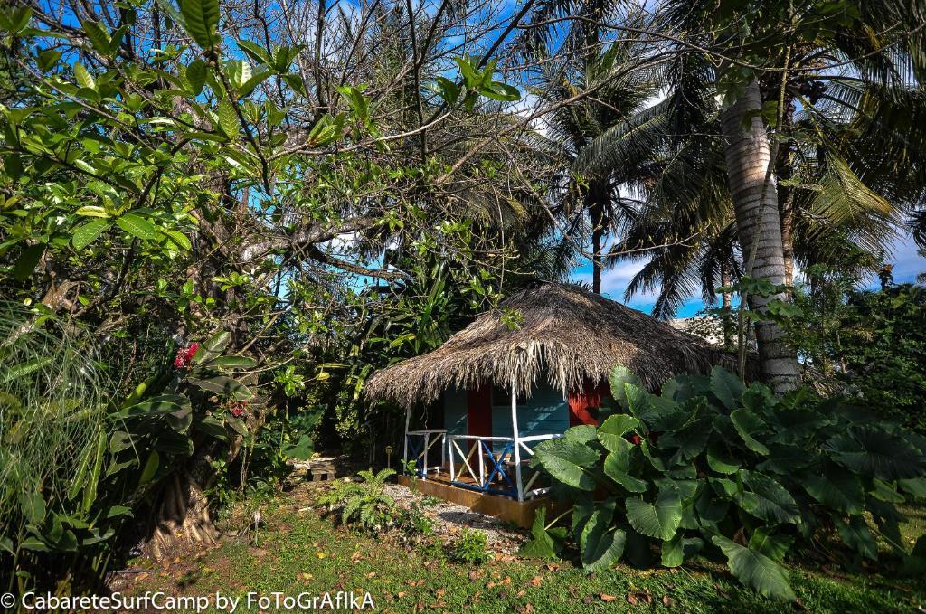 Cabarete Surf Camp Hotel ภายนอก รูปภาพ