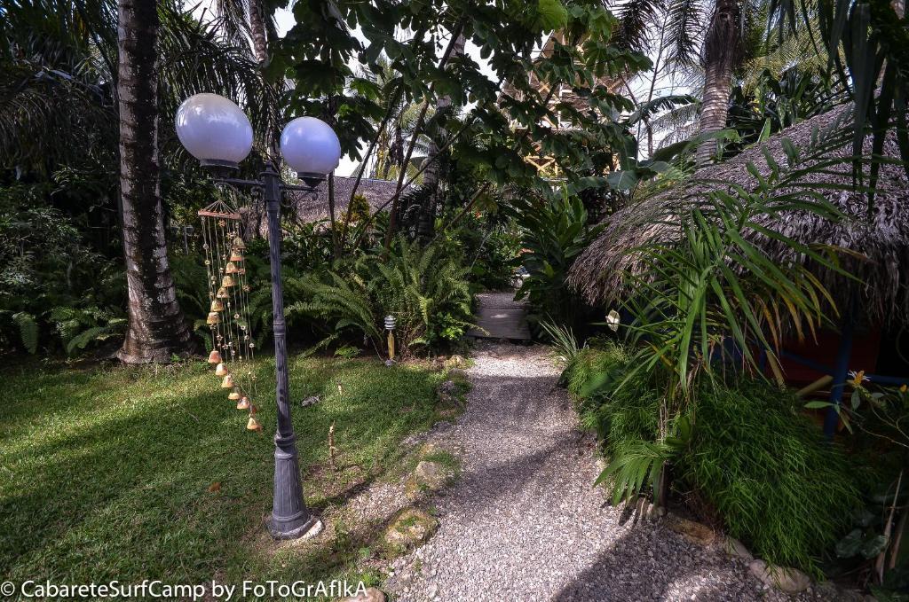 Cabarete Surf Camp Hotel ภายนอก รูปภาพ