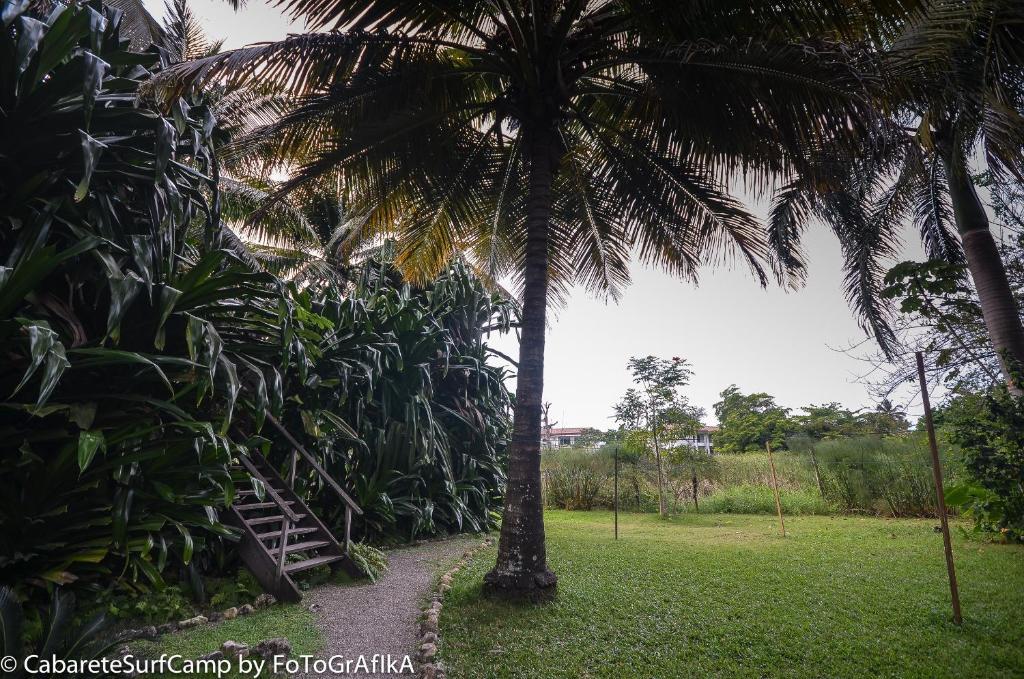 Cabarete Surf Camp Hotel ภายนอก รูปภาพ