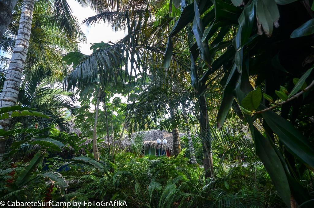 Cabarete Surf Camp Hotel ภายนอก รูปภาพ