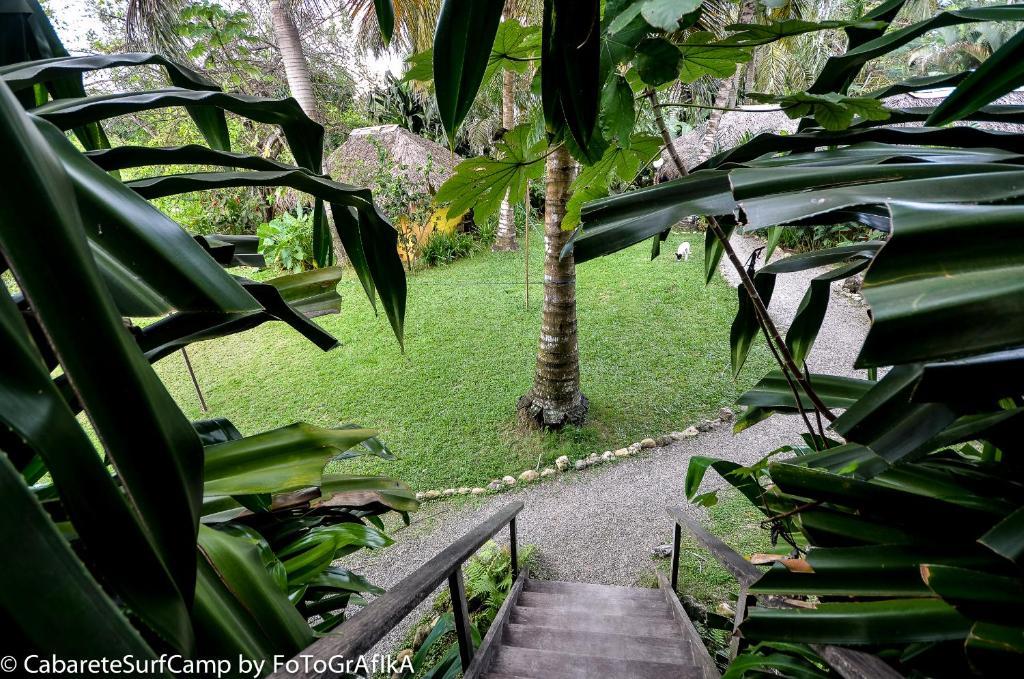 Cabarete Surf Camp Hotel ภายนอก รูปภาพ