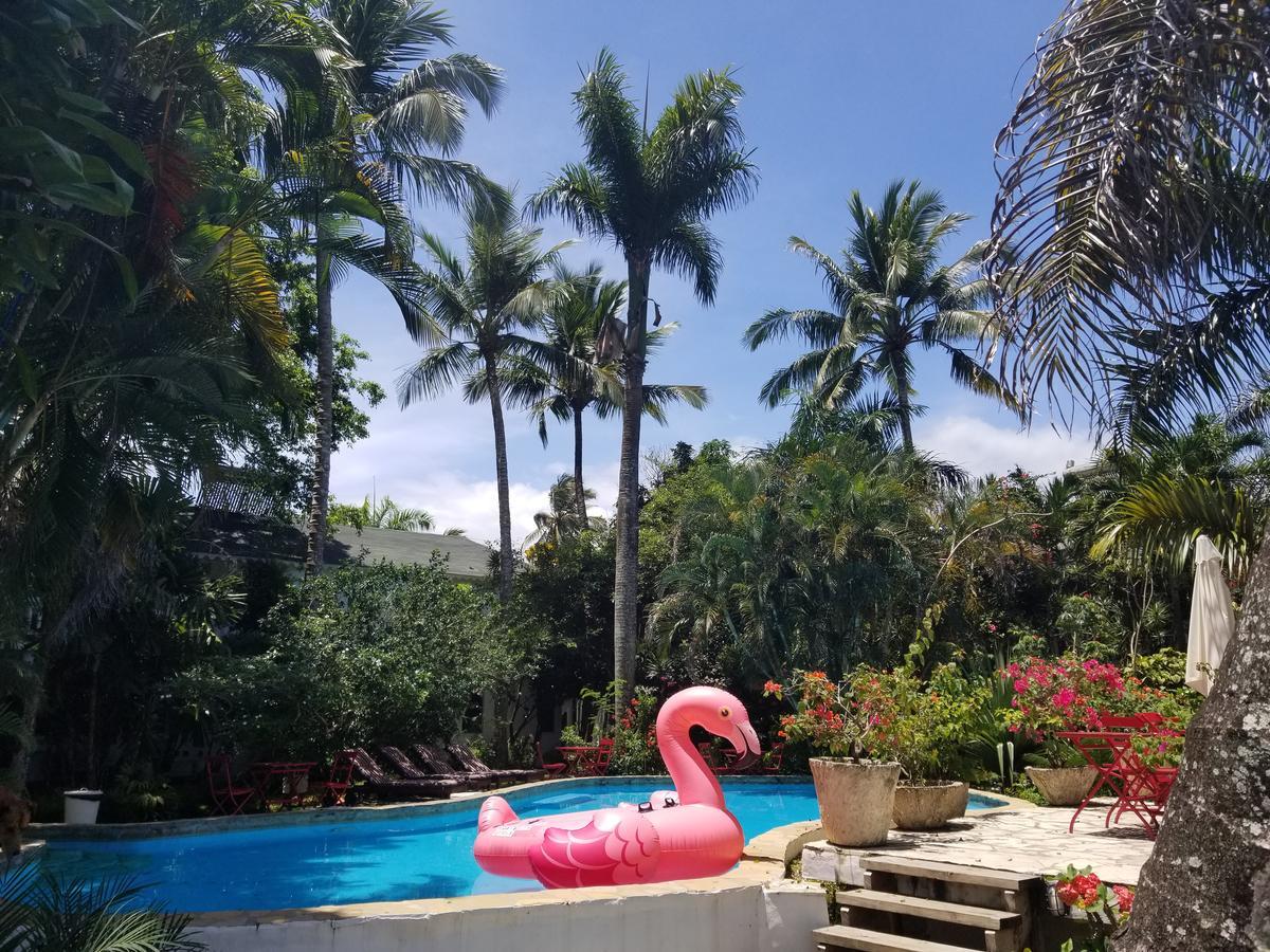 Cabarete Surf Camp Hotel ภายนอก รูปภาพ