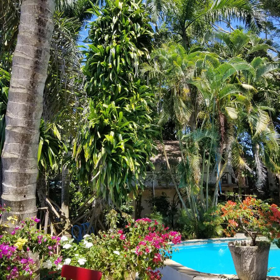 Cabarete Surf Camp Hotel ภายนอก รูปภาพ