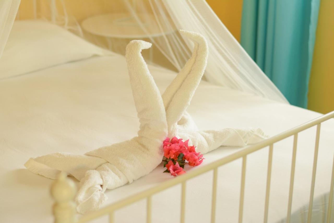 Cabarete Surf Camp Hotel ภายนอก รูปภาพ