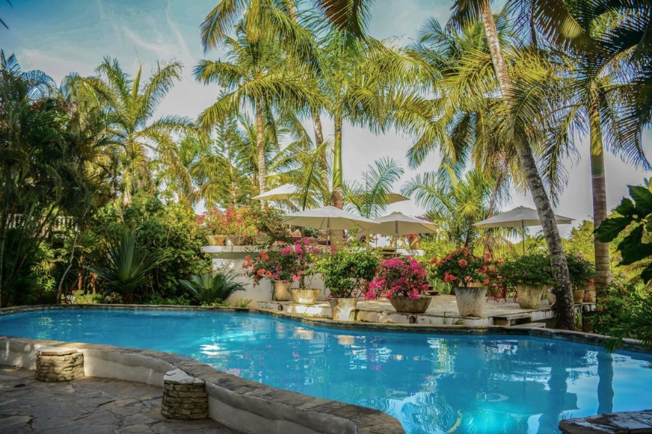 Cabarete Surf Camp Hotel ภายนอก รูปภาพ